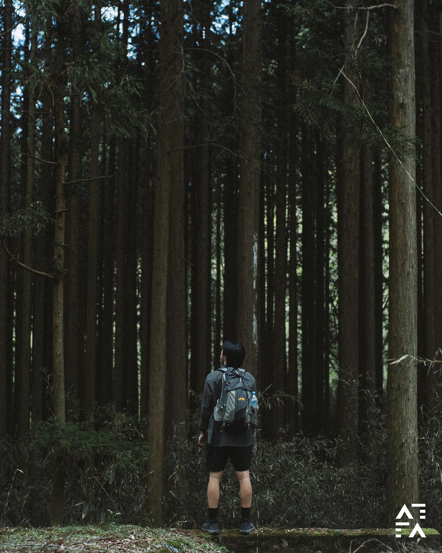 Day & Night Shorts - Black w/ Navy