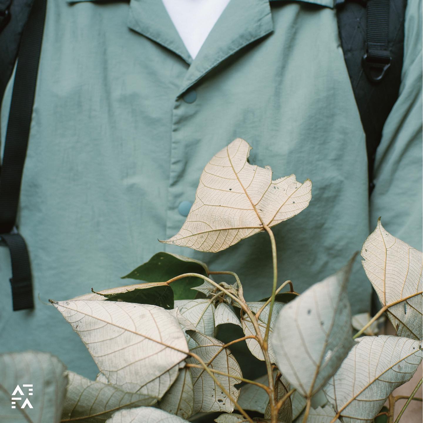 Side Pockets Open Collar Shirt - Usucha
