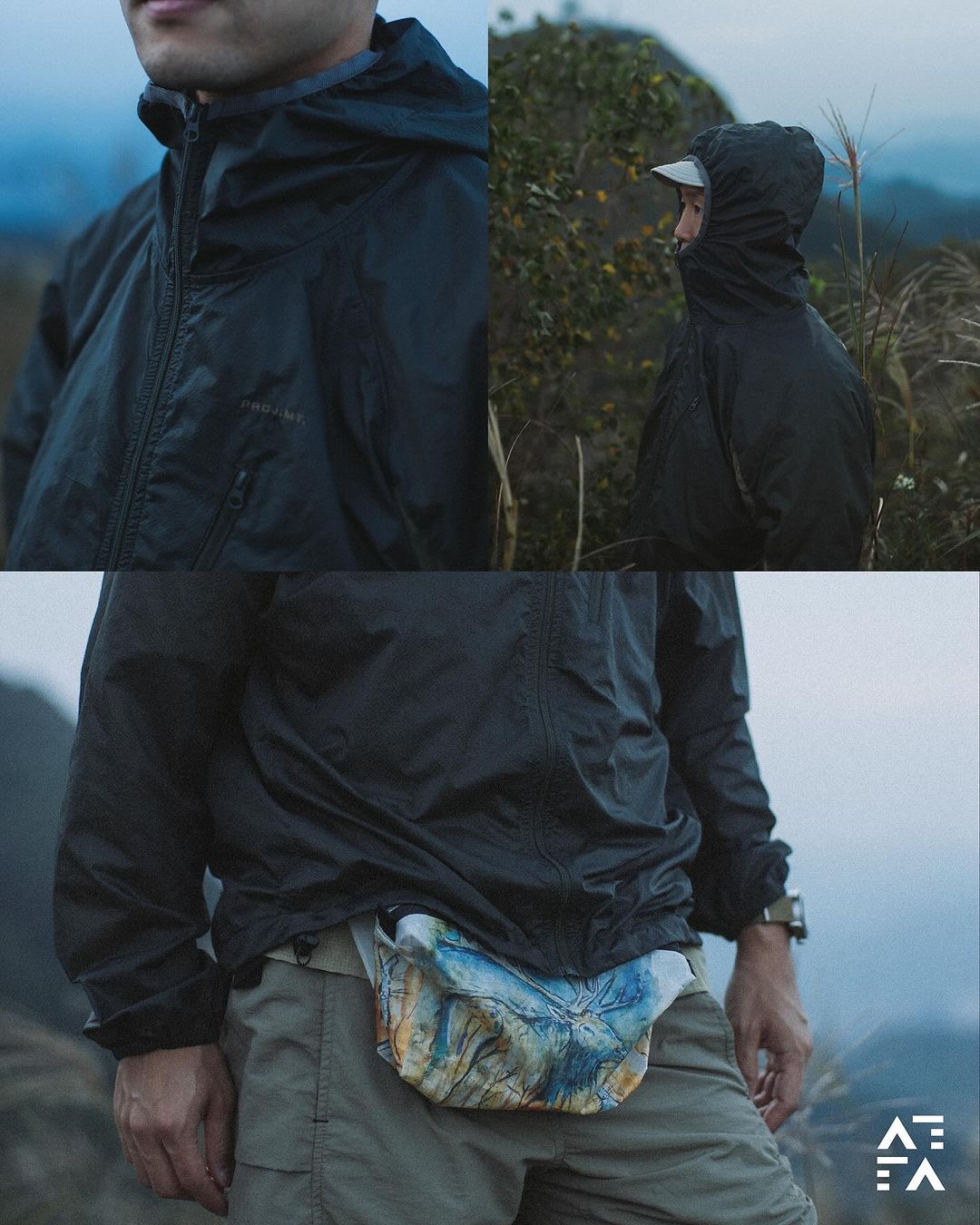 Miscanthus Windbreaker - Olive